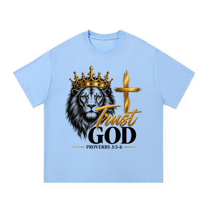 God Did It: Trust God – Proverbs 3:5–6 Premium Heavyweight T-Shirt